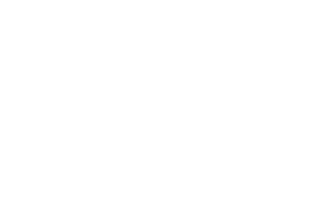 Pertronic.png